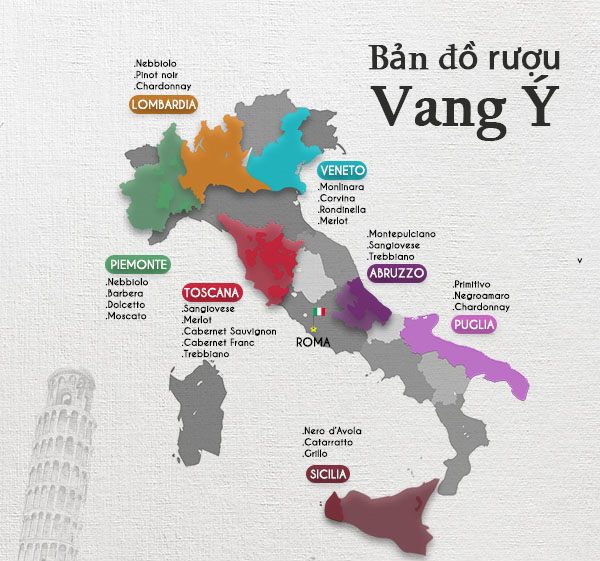 Rượu Vang Ý Được Ưa Chuộng Nhất: Tinh Hoa Từ Những Vùng Nho Danh Tiếng