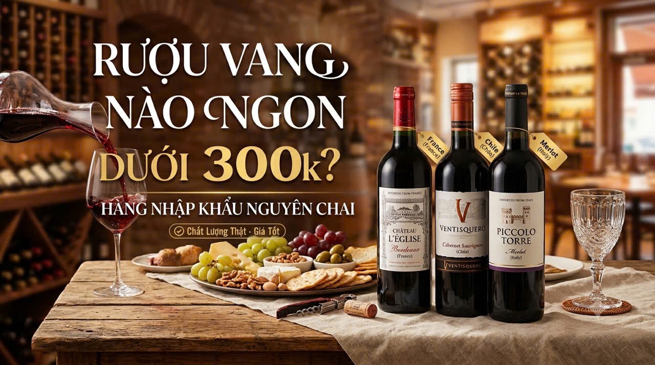 Rượu vang nào ngon dưới 300k ? Hàng nhập khẩu nguyên chai.