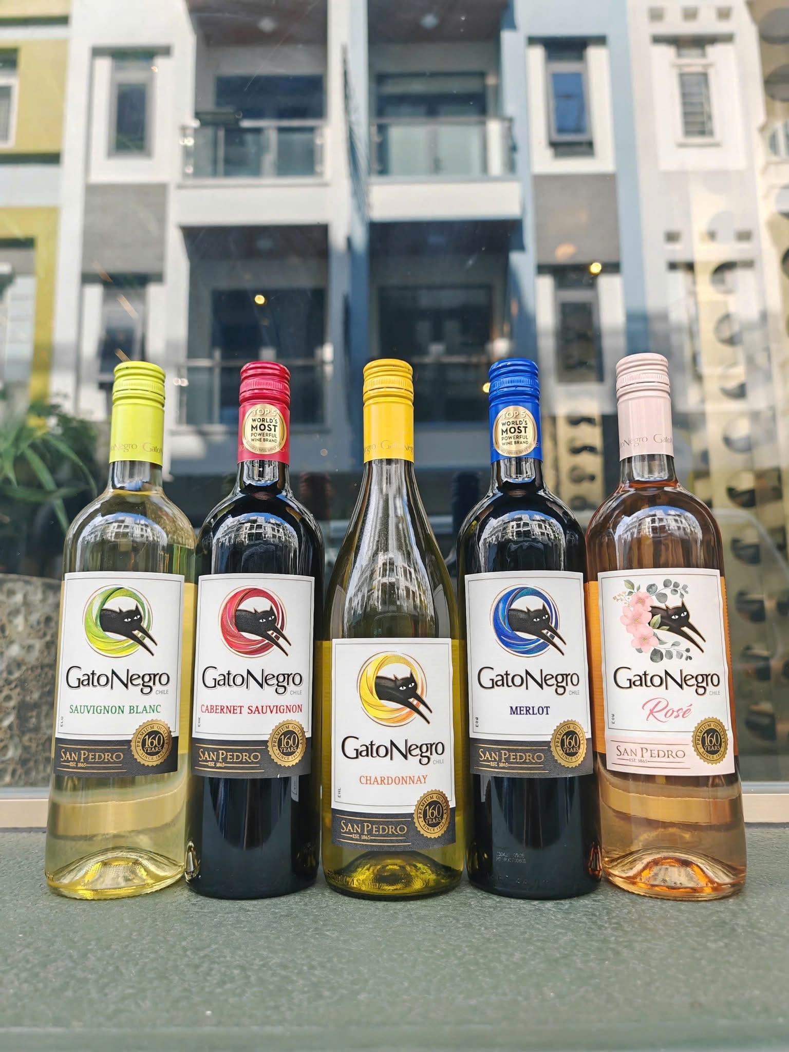 Rượu vang GatoNegro