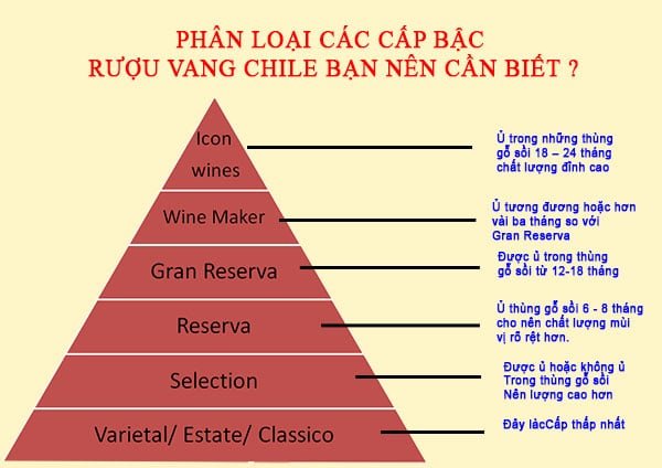 Rượu vang Chile