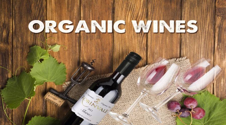 Những Ký Hiệu Nhận Biết Rượu Vang Hữu Cơ (Organic Wine).