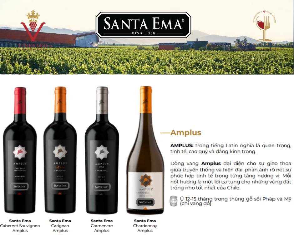 Rượu vang Santa Ema Amplus.