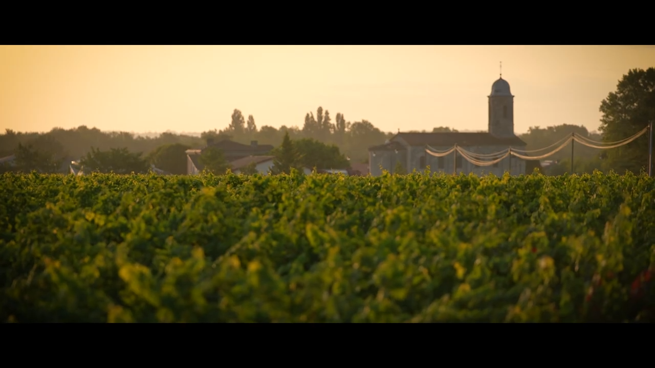 Rượu vang Château d'Arcins Haut-Médoc.