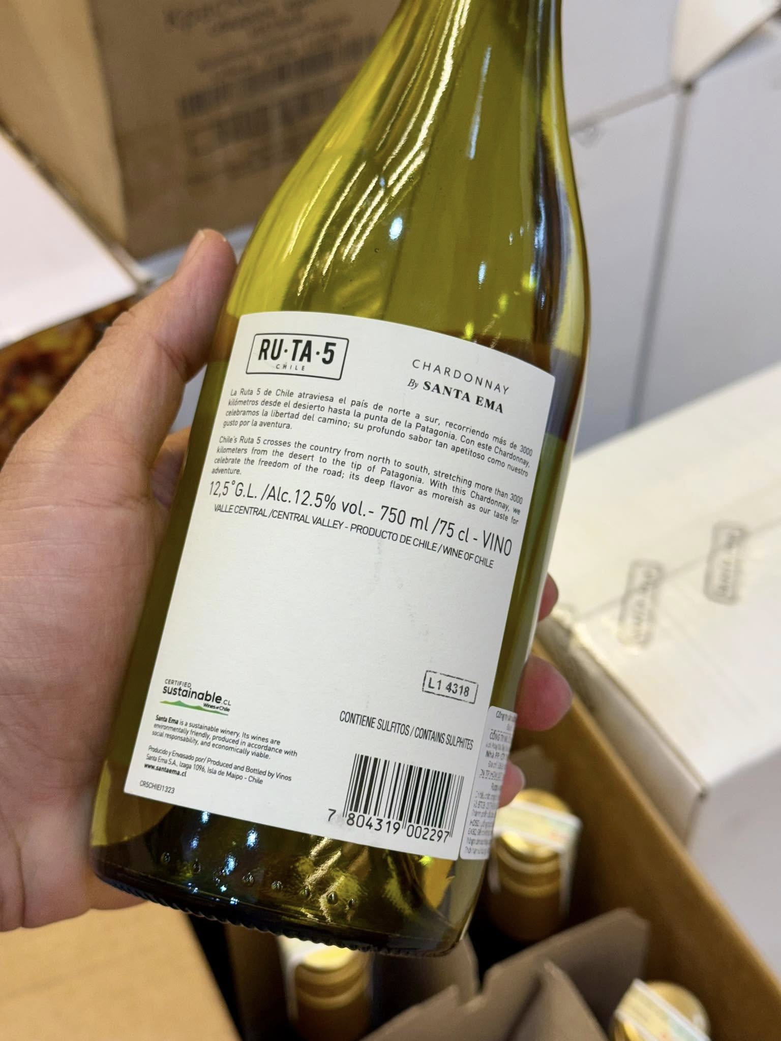 Rượu vang RUTA 5 SANTA EMA