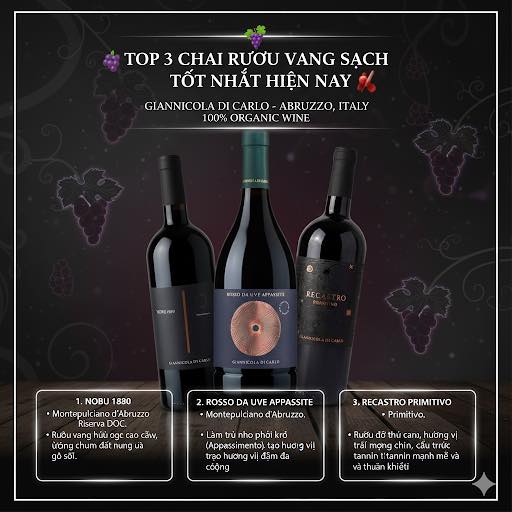 Rượu vang Rosso da Uve Appassite Giannicola di Carlo.