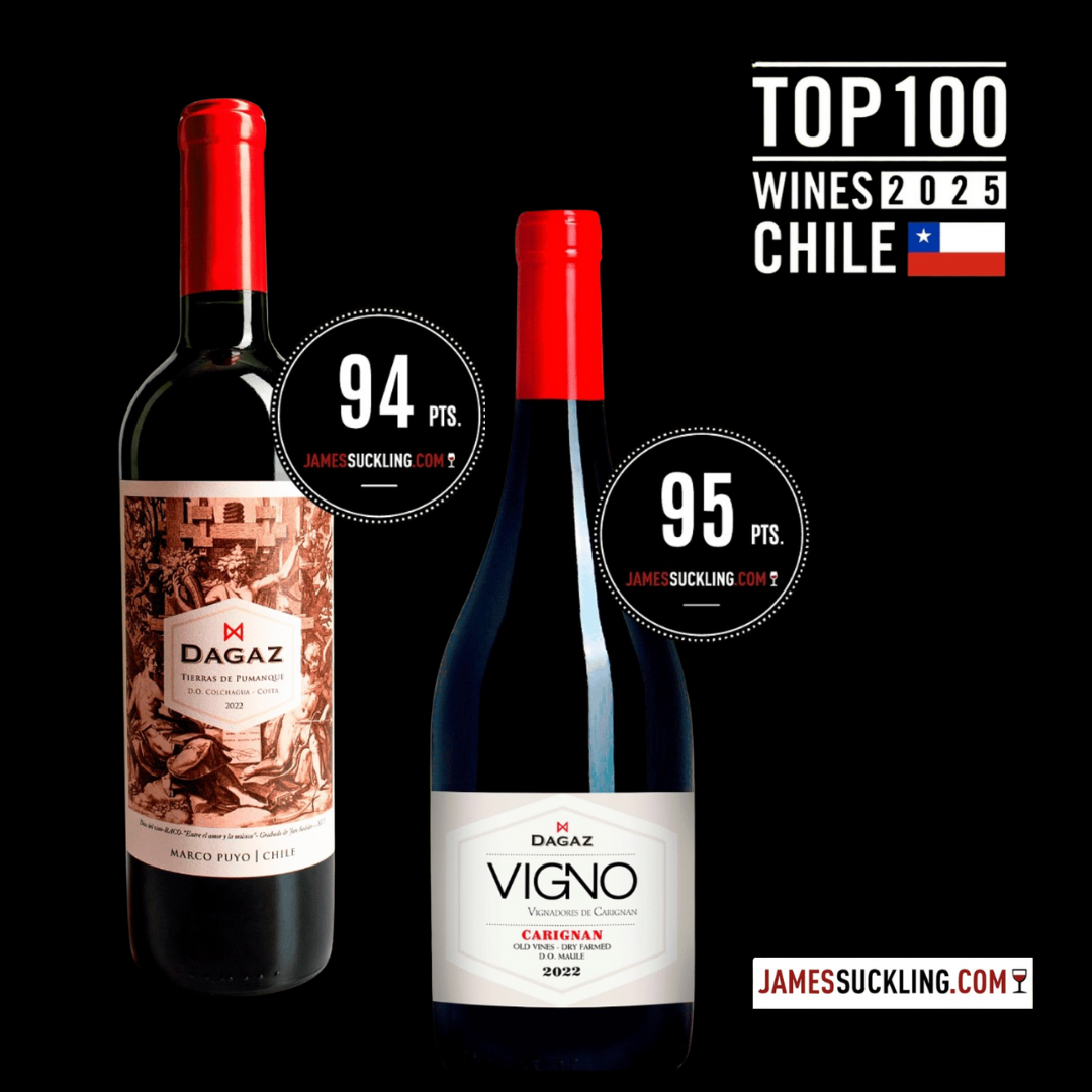 Rượu vang Dagaz Vigno Carignan.