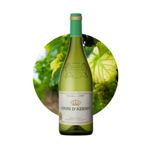 Rượu vang trắng Chardonay