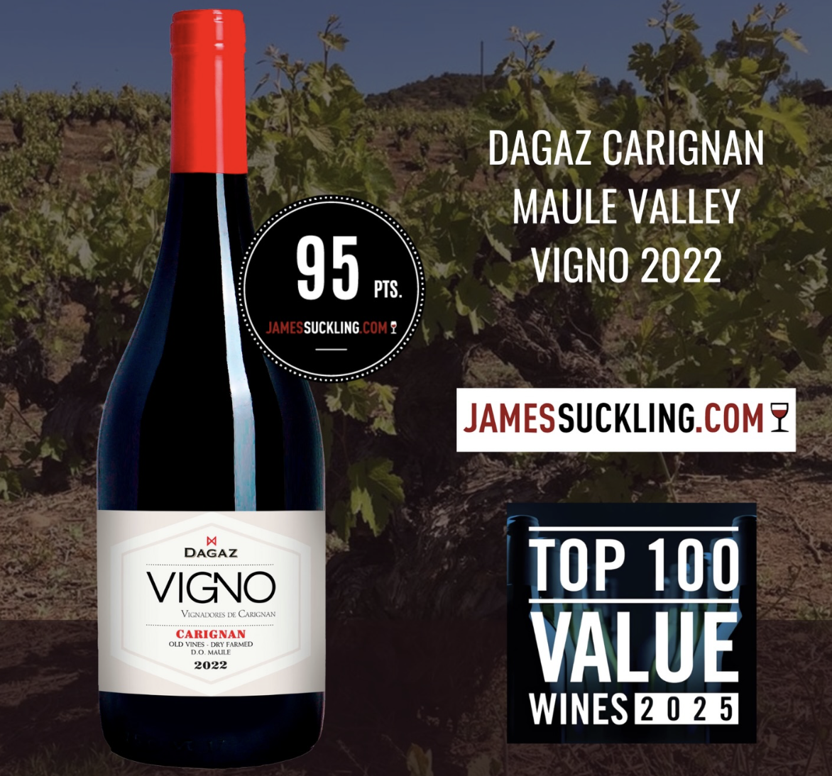 Rượu vang Dagaz Vigno Carignan.