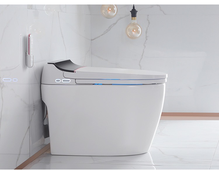 K6915 - Bồn cầu thông minh cao cấp full chức năng,  có két nước