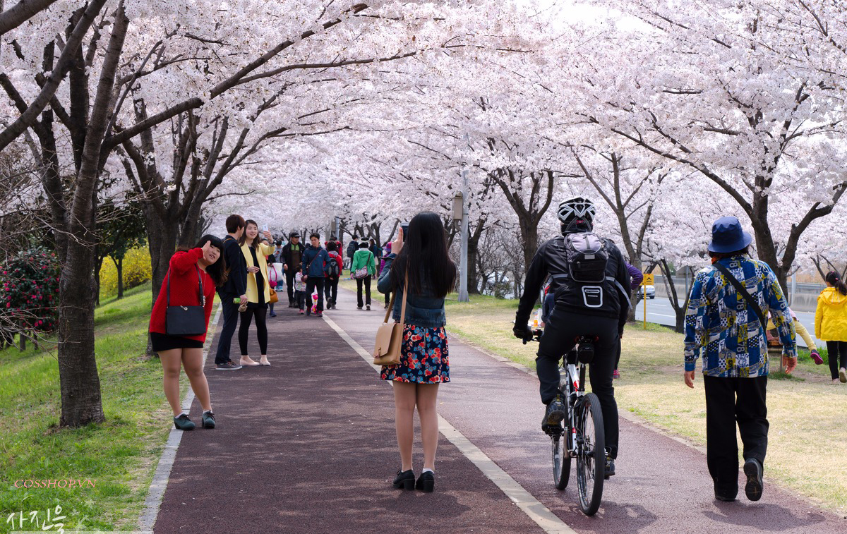 Image result for Công viên sinh thái Daejeo