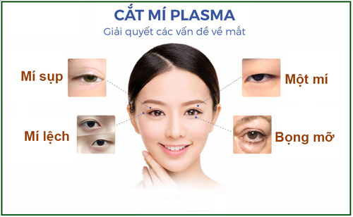 cat-mi-plasma-dep-spala-clinic-2-1-1-26c29584-b7c1-41bd-88f1-1c1bd07c0187.jpg
