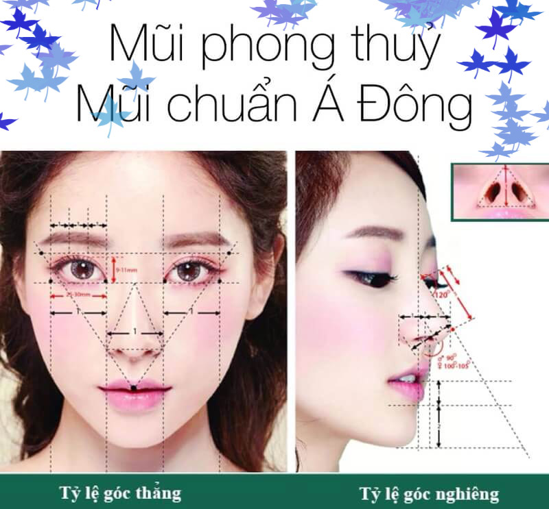 nang-mui-theo-phong-thuy-spala-ok.jpg