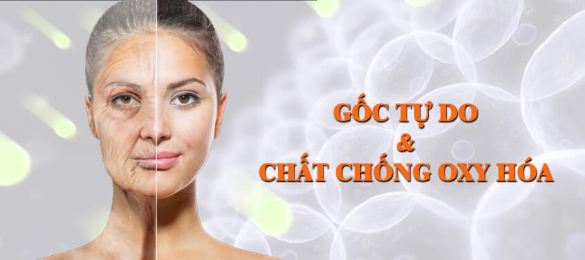 GỐC TỰ DO ĐẨY NHANH QUÁ TRÌNH LÃO HÓA TẾ BÀO.