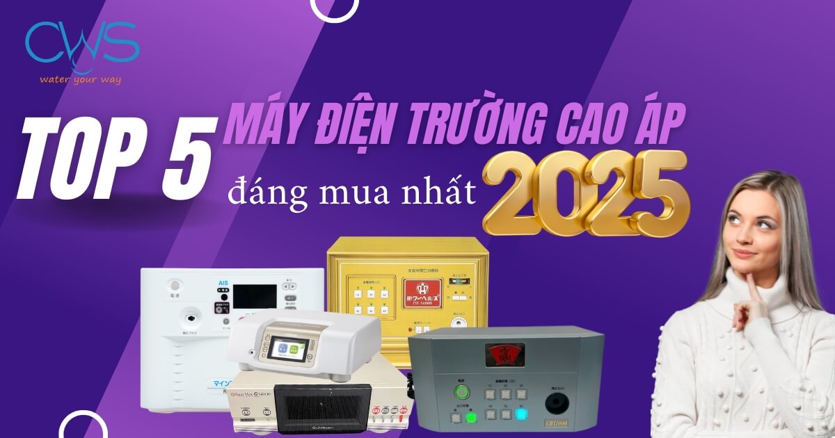 Top 5 máy điện trường cao áp đáng mua nhất 2025