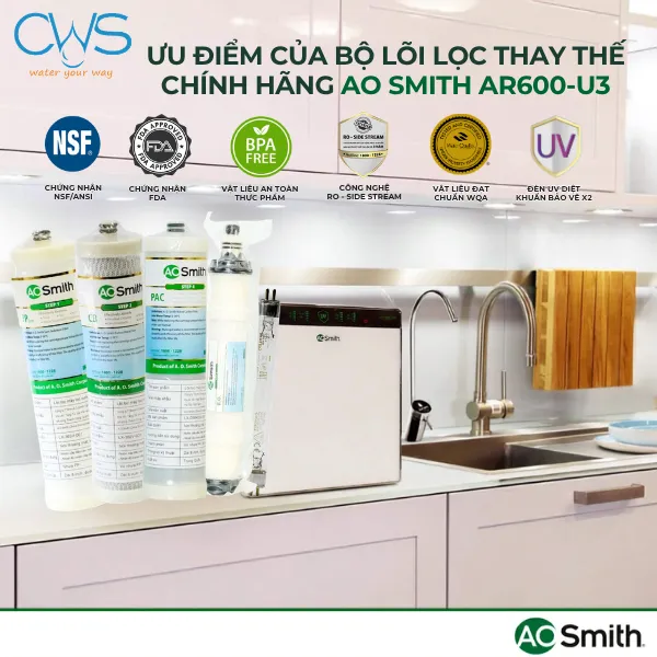 Đặc Điểm Nổi Bật Của Bộ Lõi Lọc Nước AO Smith AR600-U3 Để Tối Ưu Nguồn Nước Đạt Chuẩn