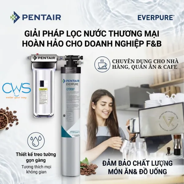 Điểm Mạnh Của Máy Lọc Nước Pentair Everpure i20002