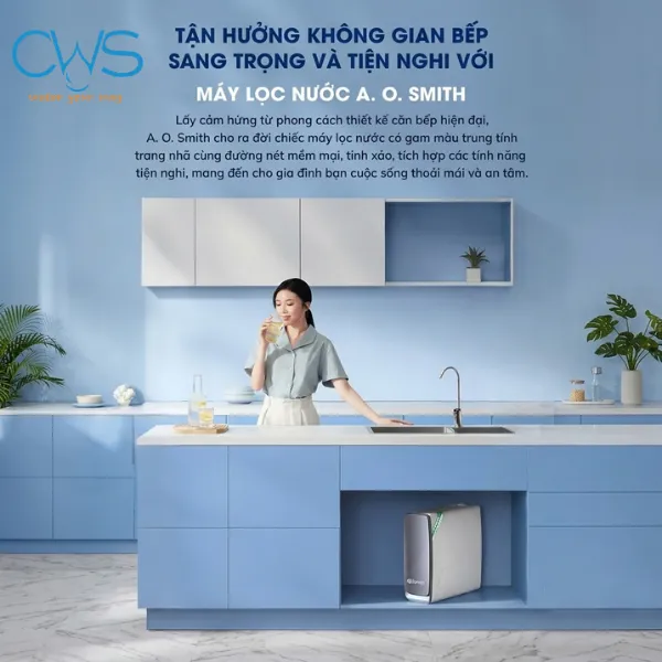 Ai Nên Và Không Nên Mua Máy Lọc Nước AO Smith X1000 Phân Tích Chi Tiết Từ CWS