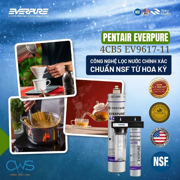 Các Chứng Nhận Quốc Tế Và Trong Nước Cho Lõi Lọc Nước Pentair Everpure 4CB5 EV9617-11