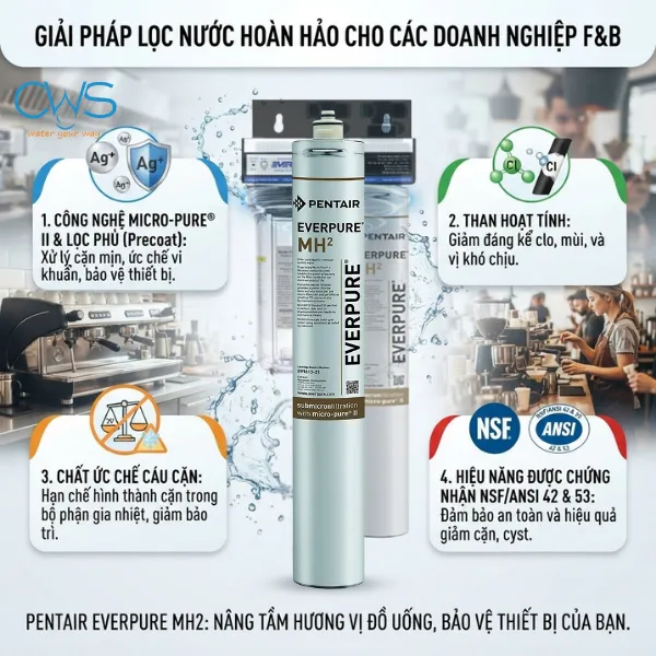 Cấu Tạo Và Hiệu Năng Của Lõi Lọc Nước Pentair Everpure MH2 EV9613-21 Có Gì Đặc Biệt