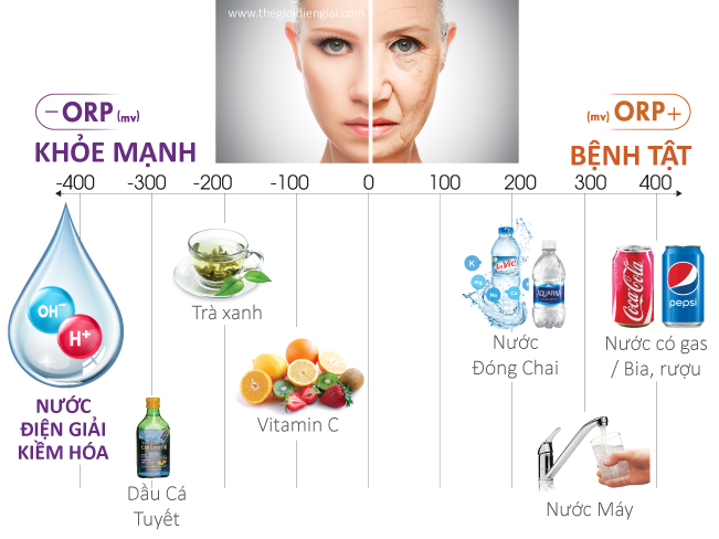 thang đo chỉ số chống oxi hóa ORP
