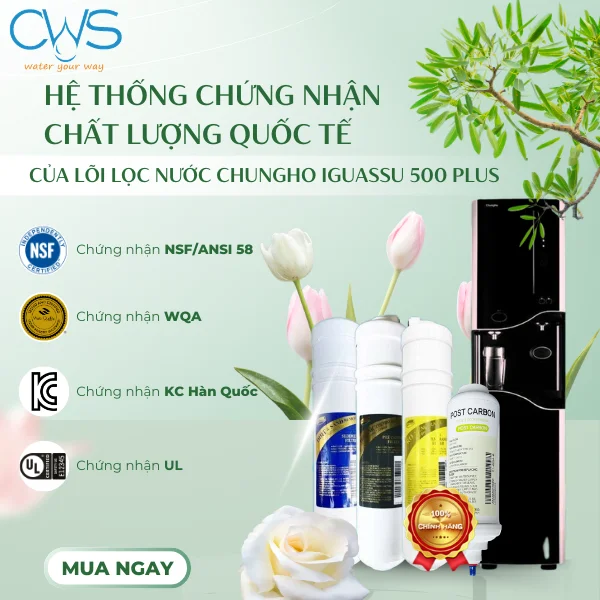 Hệ Thống Chứng Nhận Chất Lượng Quốc Tế Của Bộ Lõi Lọc Nước Chungho Iguassu 500 Plus