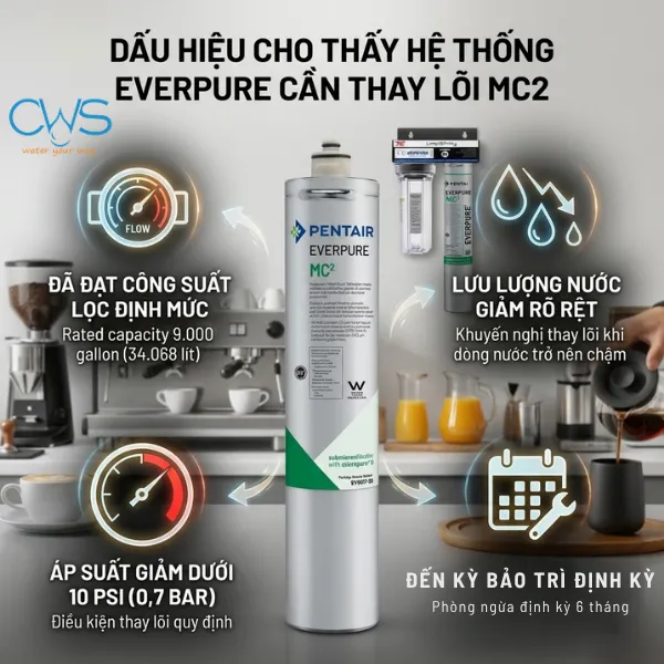 Khi Nào Nên Thay Lõi Lọc Nước Pentair Everpure MC2