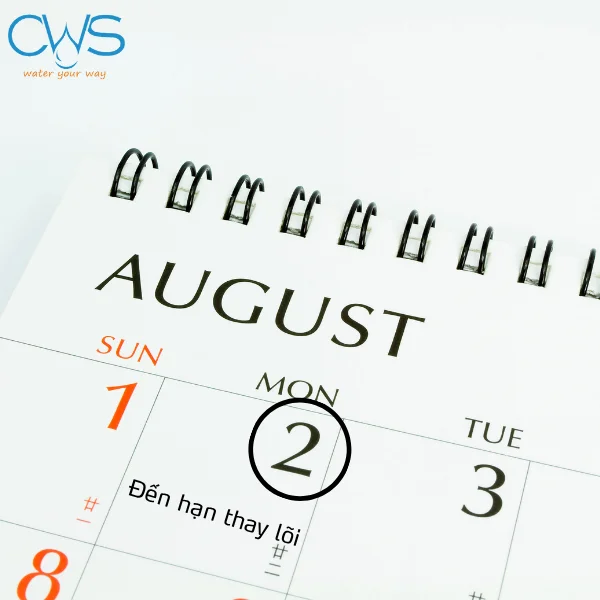 Lập Lịch Theo Dõi Theo Khuyến Nghị Của Nhà Sản Xuất