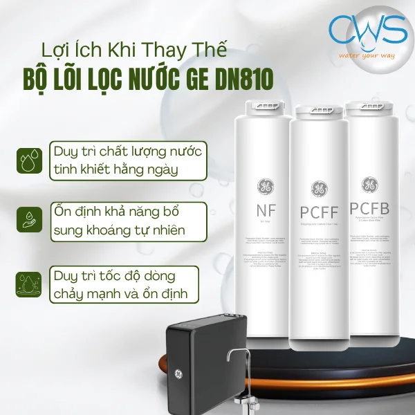 Lợi Ích Khi Thay Thế Bộ Lõi Lọc Nước GE DN810