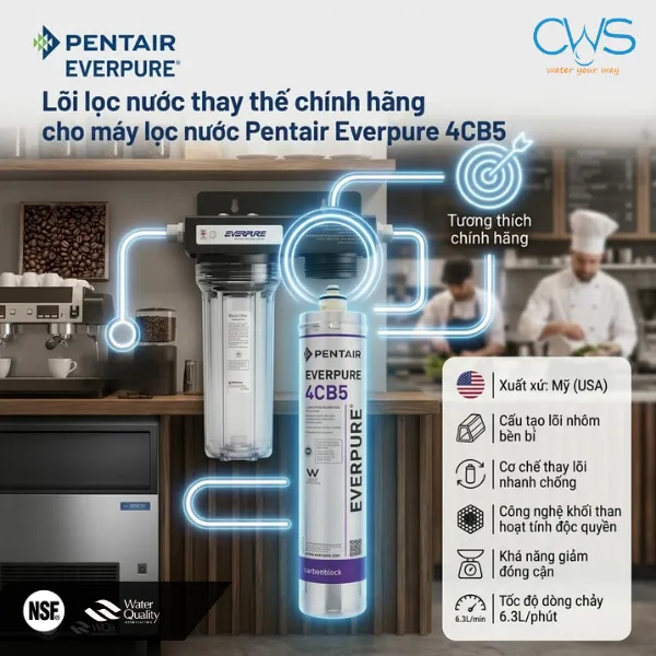 Lõi Lọc Nước Pentair Everpure 4CB5 EV9617-11 Là Lõi Thay Thế Cho Hệ Thống Nào