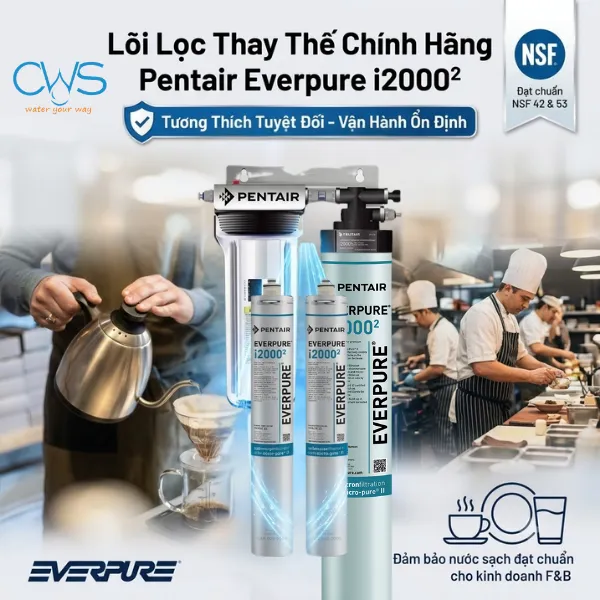 Lõi Lọc Nước Pentair Everpure I20002 EV9612-22 Tương Thích Với Hệ Thống Nào