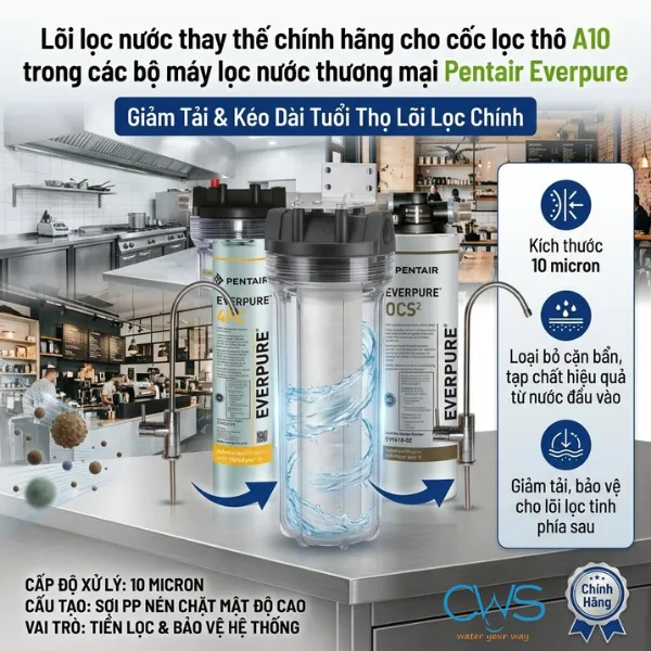 Lõi Lọc Thô Pentair Everpure 10Inch EC110 Đảm Nhiệm Vai Trò Gì Trong Hệ Thống Lọc Thương Mại