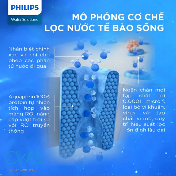 Màng Lọc Aquaporin RO Trên Máy Lọc Nước Philips
