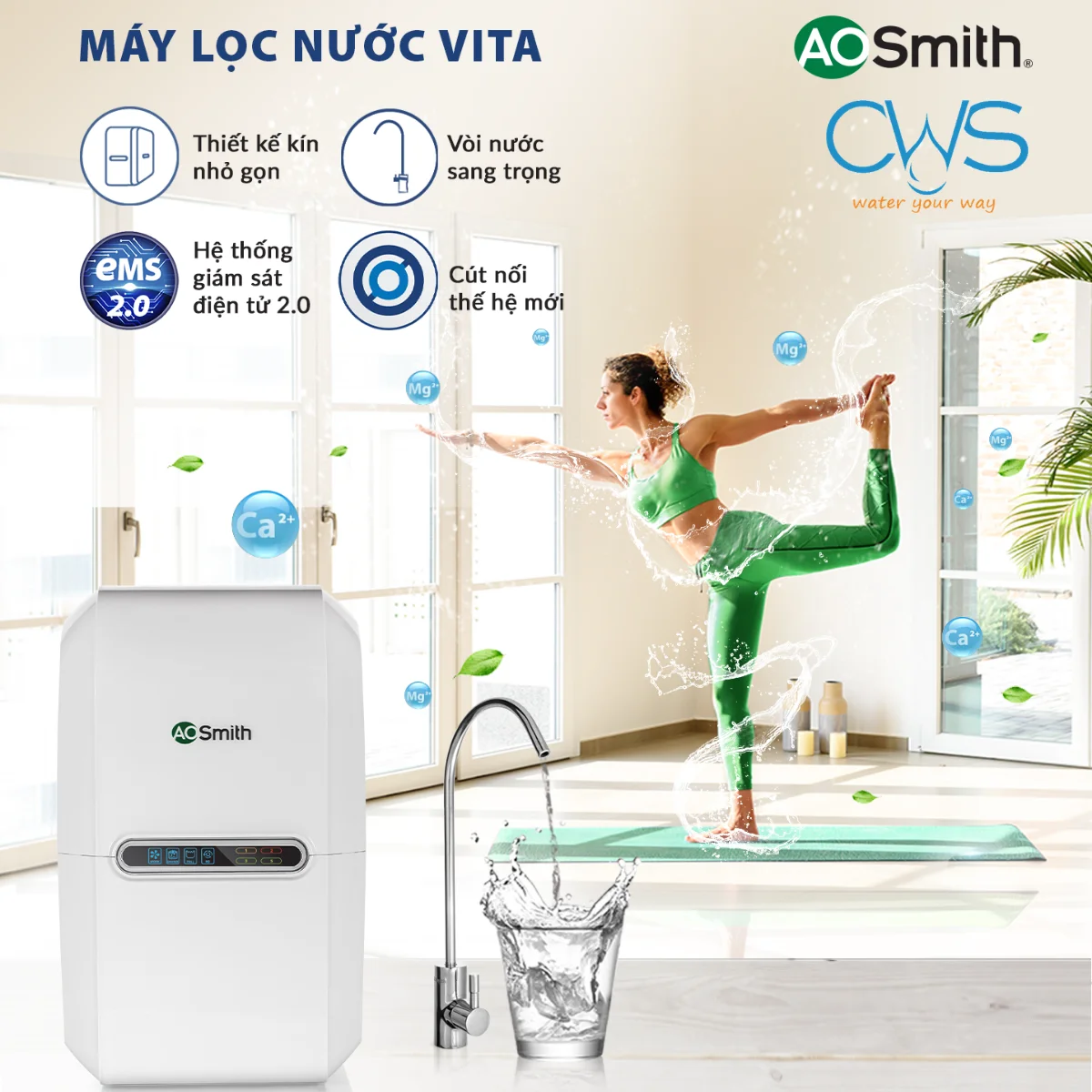 Máy Lọc Nước AO Smith Vita Plus Có Phải Là Khoản Đầu Tư Hợp Lý Trong Tầm Giá 10–13 Triệu Đồng