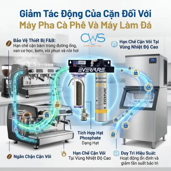 Máy Lọc Nước Pentair Everpure 4FC-S Làm Giảm Tác Động Của Cặn Đối Với Máy Pha Cà Phê Và Máy Làm Đá