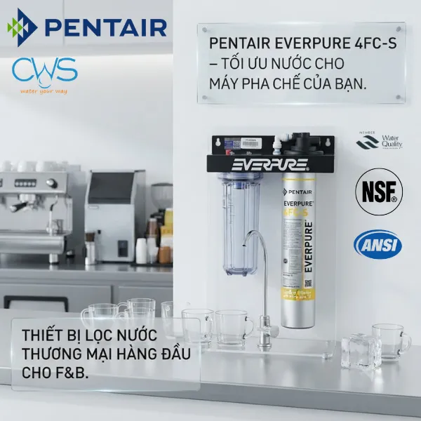 Máy Lọc Nước Pentair Everpure 4FC-S Được Thiết Kế Như Thế Nào Cho Nhu Cầu F&B