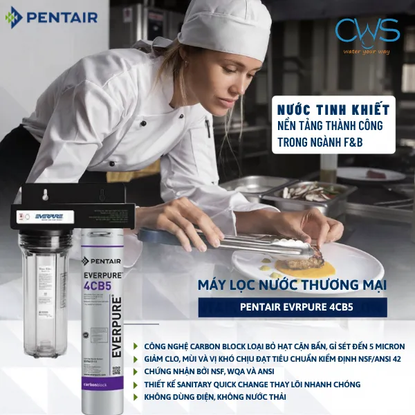 Những Tính Năng Đáng Chú Ý Trên Máy Lọc Nước Pentair Everpure 4CB5