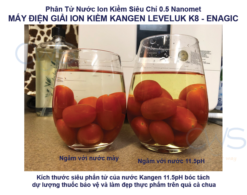 nuoc-sieu-kiem-may-kangen-k8