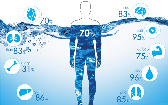 70% cơ thể bạn là nước