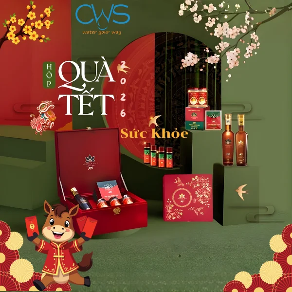 Quà Tặng Tết 2026 Vì Sức Khỏe - Xu Hướng Lên Ngôi Trong Năm 2026