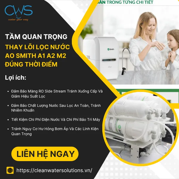 Tầm Quan Trọng Của Việc Thay Lõi Lọc Nước AO Smith A1 A2 M2 Đúng Thời Điểm