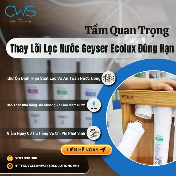 Tầm Quan Trọng Của Việc Thay Lõi Lọc Nước Geyser Ecolux Đúng Hạn