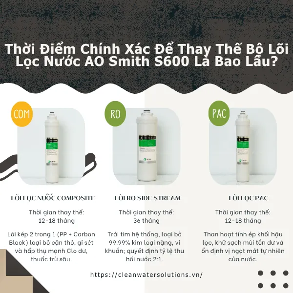 Thời Điểm Chính Xác Để Thay Thế Bộ Lõi Lọc Nước AO Smith S600 Là Bao Lâu