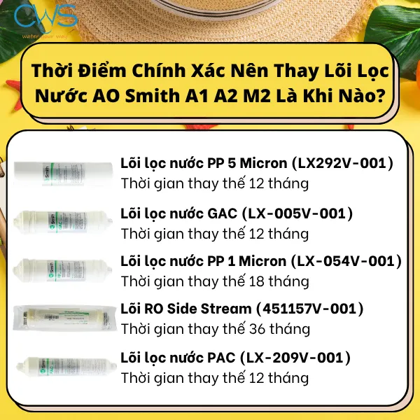 Thời Điểm Chính Xác Nên Thay Lõi Lọc Nước AO Smith A1 A2 M2 Là Khi Nào
