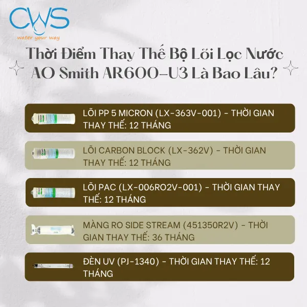 Thời Điểm Thay Thế Bộ Lõi Lọc Nước AO Smith AR600-U3 Là Bao Lâu
