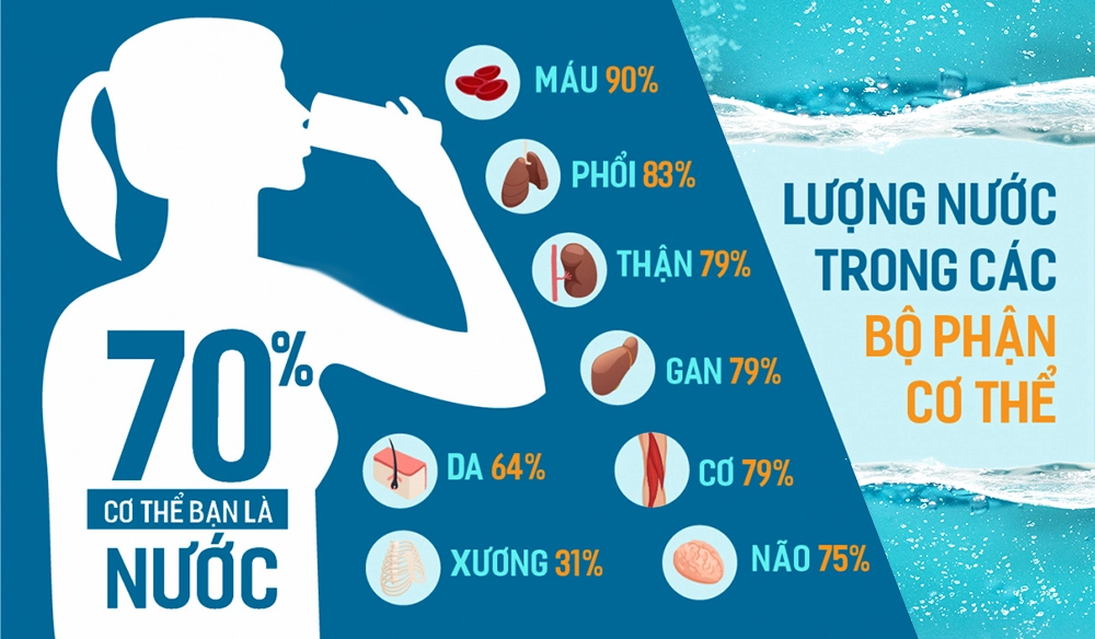 tác dụng của nước đối với cơ thể người