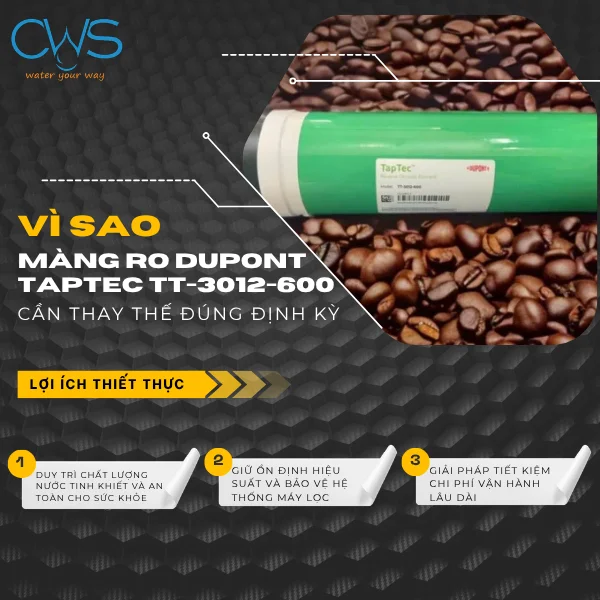 Vì Sao Cần Thay Màng RO DuPont TapTec TT-3012-600 Đúng Định Kỳ