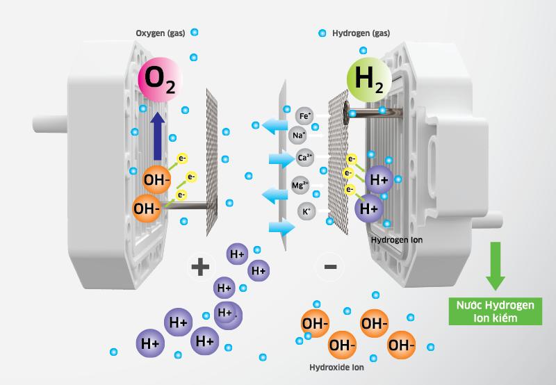 Máy điện giải máy lọc nước tạo ion kiềm tốt nhất năm 2022