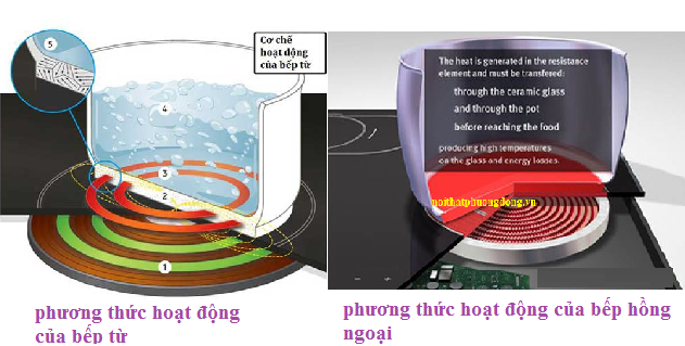 Bếp từ và bếp hồng ngoại khác nhau như thế nào? Bếp nào tiết kiệm hơn?