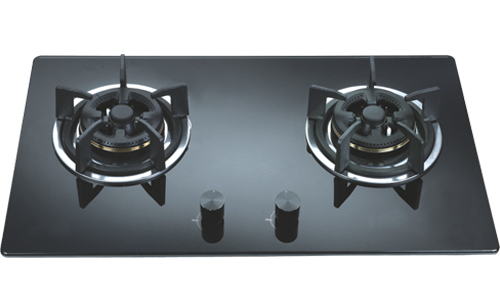 Bếp gas Faster FS 201S (FS 204S)