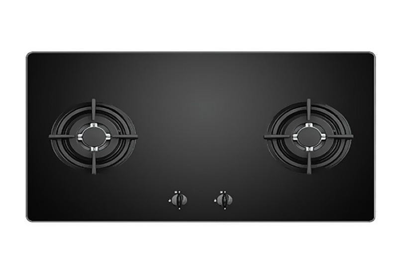 Bếp gas Faster FS 202GB